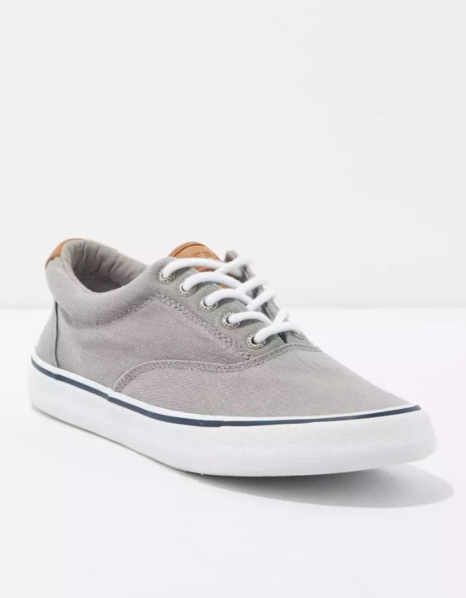 Chaussures Casual American Eagle Sperry Striper II CVO Sneaker Grise Homme | UID-09521994